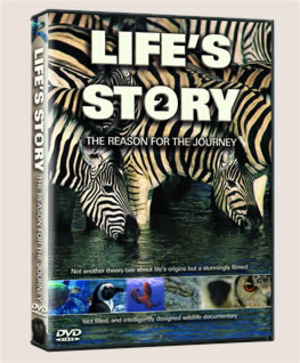 Life’s Story 2: The Reason for the Journey